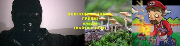 прущий лед Рославль