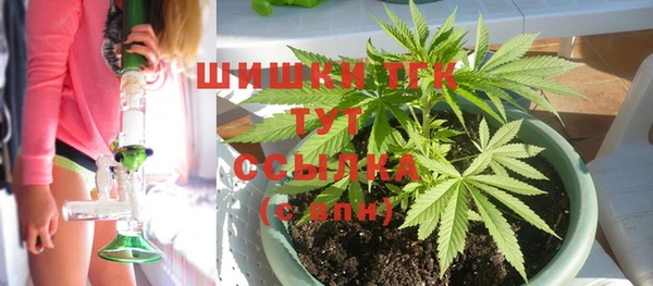 прущий лед Рославль