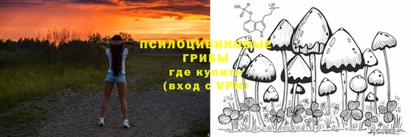 прущий лед Рославль