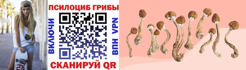 Псилоцибиновые грибы прущие грибы  Сорск 